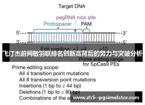 飞汀杰蔚阀敏羽联排名创新高背后的努力与突破分析