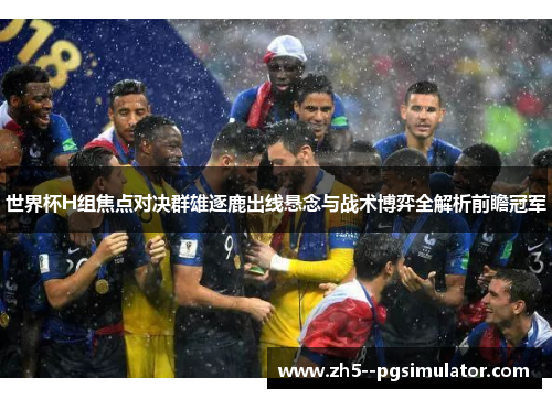 世界杯H组焦点对决群雄逐鹿出线悬念与战术博弈全解析前瞻冠军